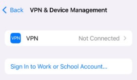 VPN not connected on iOS
