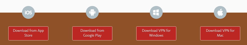 Invincibull VPN platforms