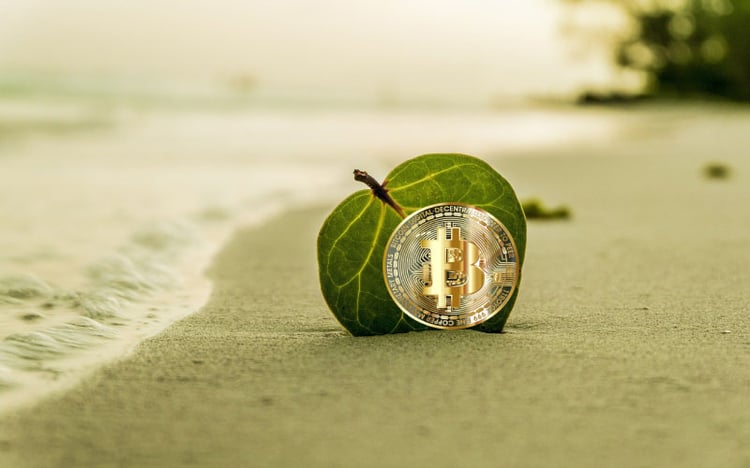Title image for How does crypto mining help preserve the ecology of the Earth?