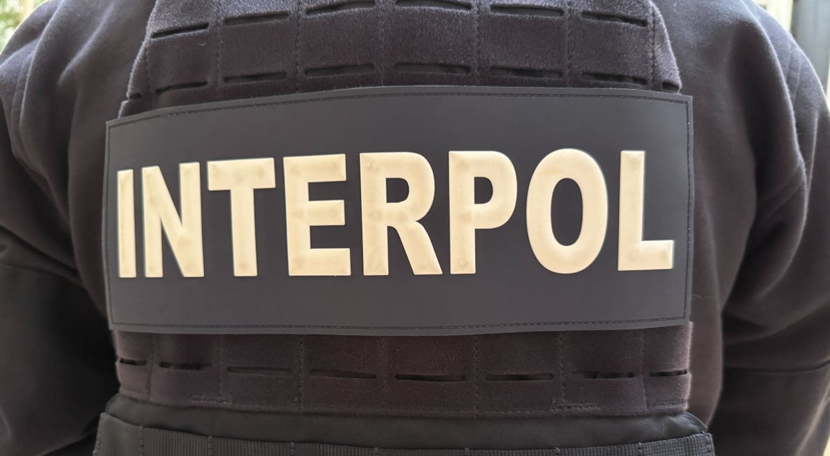 Interpol officer's back with logo visible