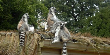 Zoo data breach