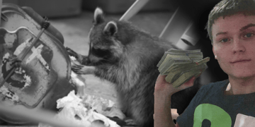 Racoon Infostealer