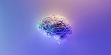 brain