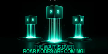 Roar node sale