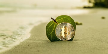 Title image for How does crypto mining help preserve the ecology of the Earth?