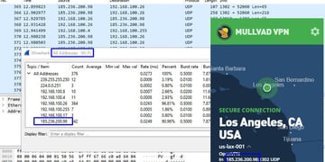 Mullvad security test