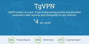 TgVPN Review