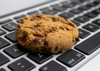 Cookies; Essential yet Dangerous