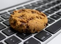Cookies; Essential yet Dangerous